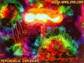 Goa/Infected Mushroom Goa/Infected Mushroom