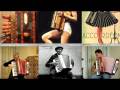videos de Fisarmoniche  Accordions