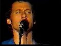Expresso Love, Dire Straits - Werchter 1981