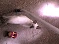 Miis miniinos [parte 4]
