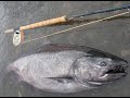 世界一キーナイ・キングサーモン　を　フライフィッシング　で釣る－2007シーズン　１匹目