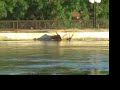 HANCHER FLOOD 2008