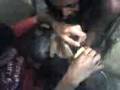 videos de EL GATO ENLATADO PARTE 3