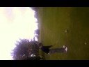whvgolf8 whvgolf8