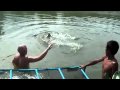 300lb Arapiama fight in Thailand.m4v