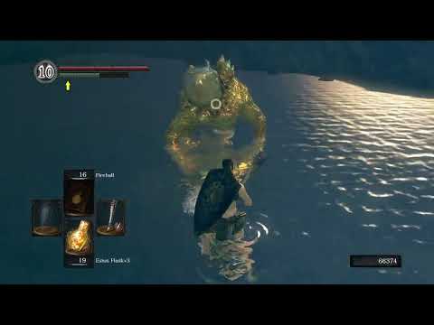62. SL1 Hydra at Darkroot Basin, rescue Dusk, Dark Souls: Remastered