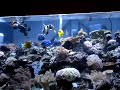 Reef Queretano