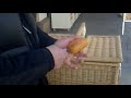 Der Hofer Wärschtlamo in Aktion - Ein echtes Original in Hof/Saale
