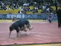 ADCC Italy - Salvadori (FRA) vs Franceschini (ITA)