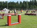 Agirotu 2008