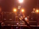 videos de Songbird