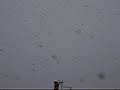 Snowy day