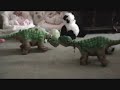 When Pleos Meet  (Dino Serendipity)