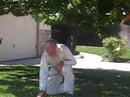 Bees in a Swarm & the Bee Whisperer, Part 3 Bees in a Swarm & the Bee Whisperer, Part 3