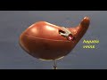 Small Liver Model - Lobes