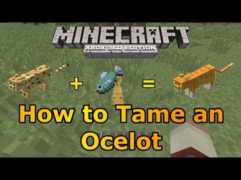 how to tame an ocelot in minecraft