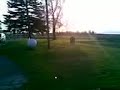 insane three-wheeled golf cart #1 insane three-wheeled golf cart #1