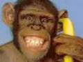 Charlie The Unicorn 2- Put a banana in Your Ear