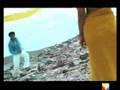 videos de mangal