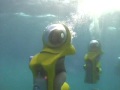 Best Job Ever!: Mini Sub Adventure, Stuart Cove's Dive Bahamas, Nassau