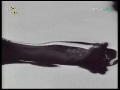 Celine Dion-Where Does My Heart Beat Now with lyrics