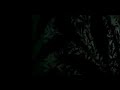 mariposas (parte1)