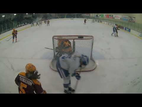 Steal,  forecheck, goal