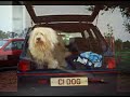 Morrissey sings the Frosties Commercial!