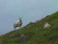 Faroe Islands 2006