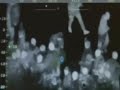 Football Hooligans - More Everton Valley Football Hooligans - More Everton Valley