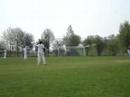 Circket in Arnhem Netherlands
