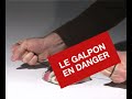 dernier-printemps-du-galpon-sur-le-site-artamis.html