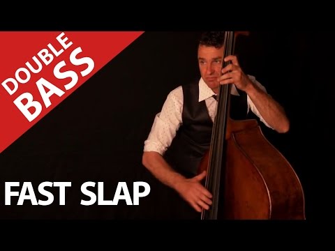 contrabass - Stephane Barral is a brilliant Musician in