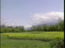 Kashmir Travel Doc - Part 04