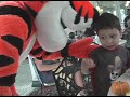 Tigger Attacks Boy Tigger Attacks Boy