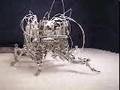 cockroach robot