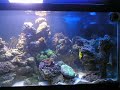 New tank New tank