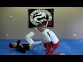 Submissions 101: Earth Bound DVD Promo