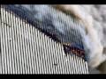 911
