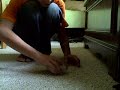 Magic Trick 2