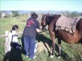 Gauchos de Acero Vida en Caballo (propio)  By Gauchos