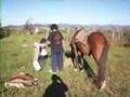 Gauchos de Acero Vida en Caballo (propio)  By Gauchos
