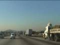 videos de arvores