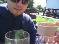 Il discernimento della birra