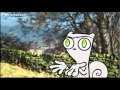 A Reason For Reboots : Foamy The Squirrel
