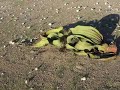 Namibe  Moçâmedes  Angola - part 4