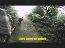 Search Video