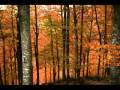 Automne au pays des ours (Diaporama-vidéo 2mn 50s) - Massifs de Paloumère, Gar, Cagire - 31