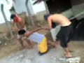 tortura