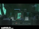 MLG Team Odd